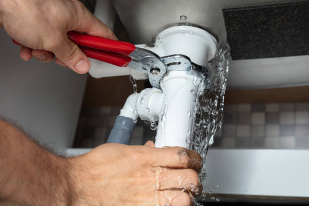 Best Flood damage cleanup  in Dubuque, IA
