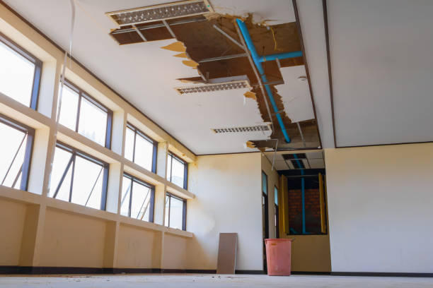 Best Basement water damage restoration  in Dubuque, IA