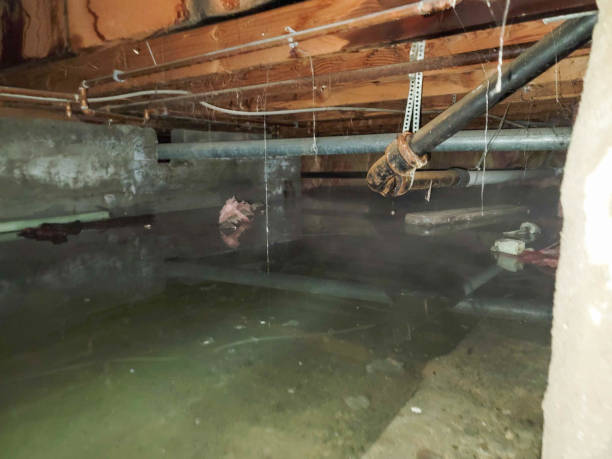 Best Commercial water damage restoration  in Dubuque, IA