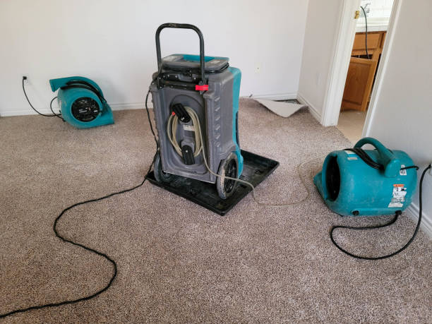 Best Flooded house restoration  in Dubuque, IA