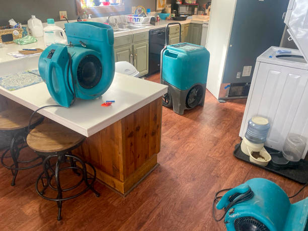 Best Sewage cleanup and water damage restoration  in Dubuque, IA
