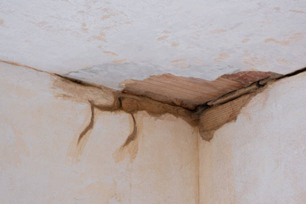 Professional Water damage restoration in Dubuque, IA