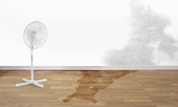 Best Residential water damage restoration  in Dubuque, IA