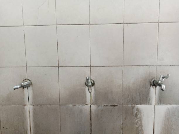 Best Water damage restoration near me  in Dubuque, IA